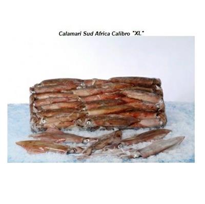 CALAMARI GELO BLOCK S/AFRICA CJ (XL) KG.12     Fatturazione a peso netto