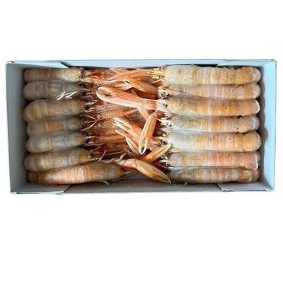 SCAMPI GELO INTERI 17/20 GR.750                Fatturazione a peso netto