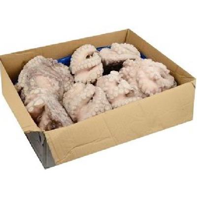 POLPO GELO MAROCCO IQF (T4-1500/2000) KG.12