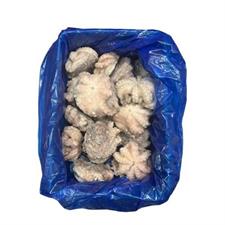 POLPO MAROCCO GELO IQF (T7-500/800) KG.20