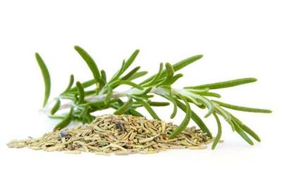 ROSMARINO FRANTUMATO KG.1X10 ILDIA