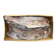 PROMO CERNIA INDOP.EVISC. GELO 5/8 IQF PAOLOMARE          Peso Variabile