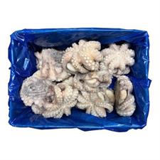 POLPO MAROCCO IQF (T6) KG.12 IL RE DEL POLPO