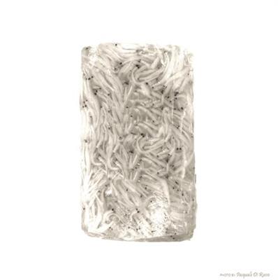 PESCE GHIACCIO GELO 2/4 GR.900 BLOCK             Fatturazione peso netto