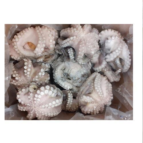 POLPO GELO MAROCCO IQF (T6-800/1200) KG.12