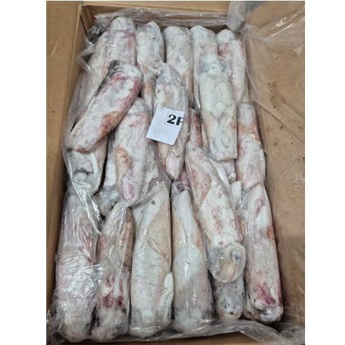CALAMARI GELO FA034 2P IQF KG.10                              MAURITANIA