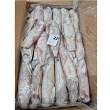 CALAMARI GELO FA034 2P IWP KG.10 GOLDEN FISH                  MAURITANIA