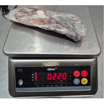 CALAMARI GELO FA034 2P IQF KG.10                              MAURITANIA