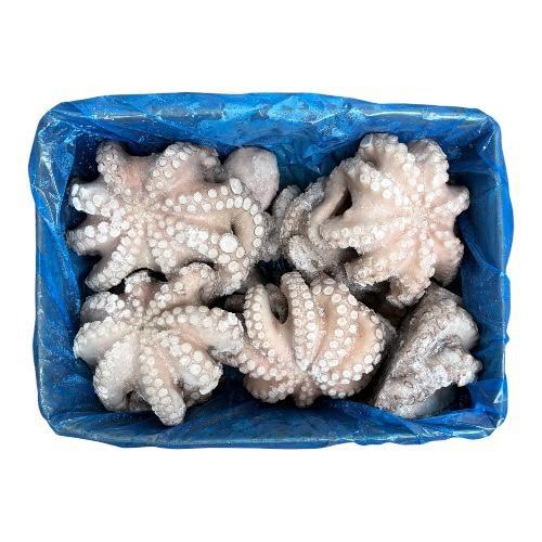 POLPO GELO MAROCCO IQF (T5-1200/1500) KG.12