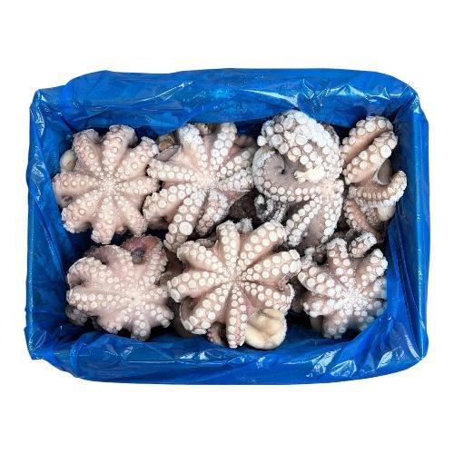 POLPO GELO MAROCCO IQF (T6-800/1200) KG.12