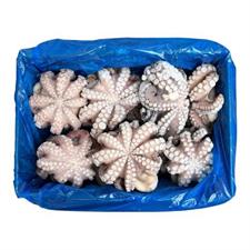 POLPO GELO MAROCCO IQF (T6-800/1200) KG.12